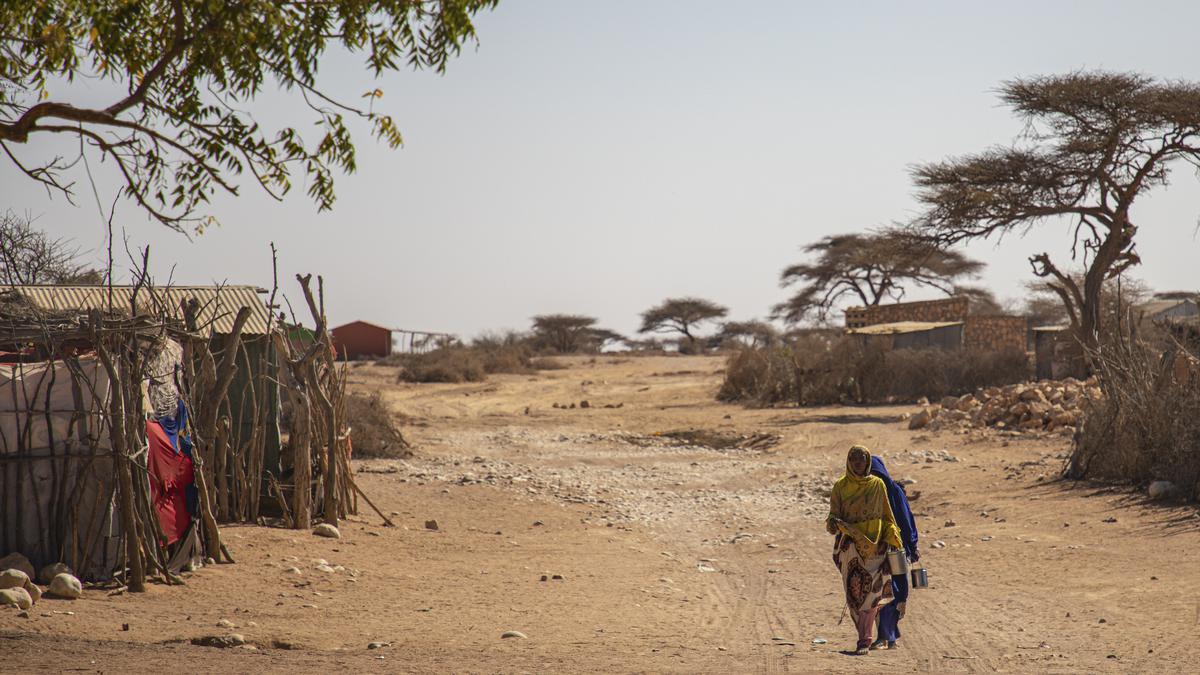 20 Million Risk Starvation As Horn Of Africa Drought Worsens United