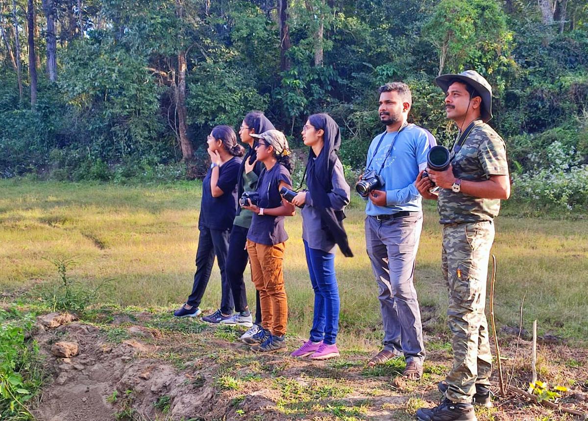 Synchronised Vulture Survey Records Sightings In Wayanad The Hindu