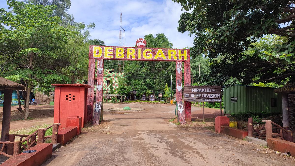 Odisha’s Debrigarh Sanctuary freed from human settlement 