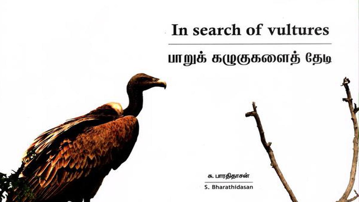 G. Ananthakrishnan Reviews In Search Of Vultures, By S. Bharathidasan ...