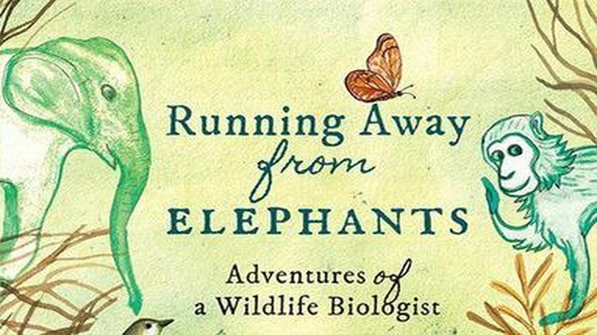 Neha Sinha reviews Running Away From Elephants by Rauf Ali The Hindu