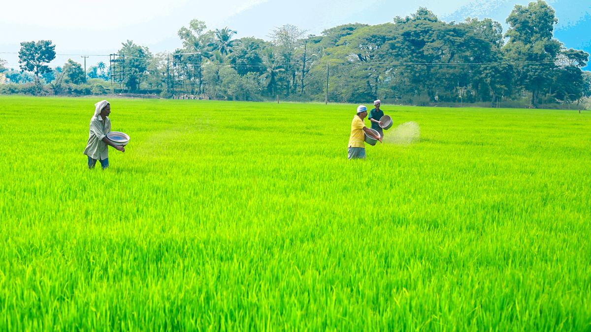 Retail inflation eases slightly to 4.61% for farm workers, 4.73% for rural labourers