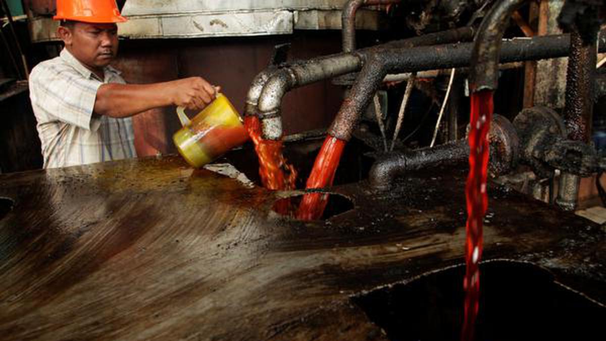 India set to shift diet to soft oils as Indonesia curbs palm oil