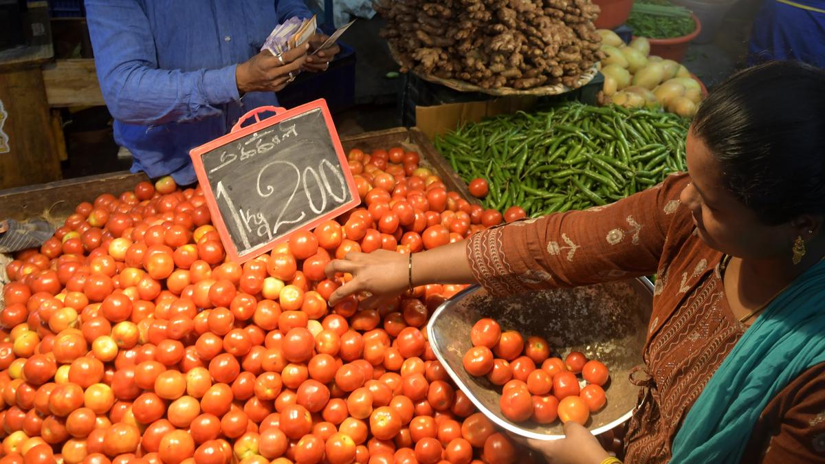 Data | Tomato inflation accelerated to 200% in July; Tamil Nadu, Andhra and Karnataka most hit
Premium