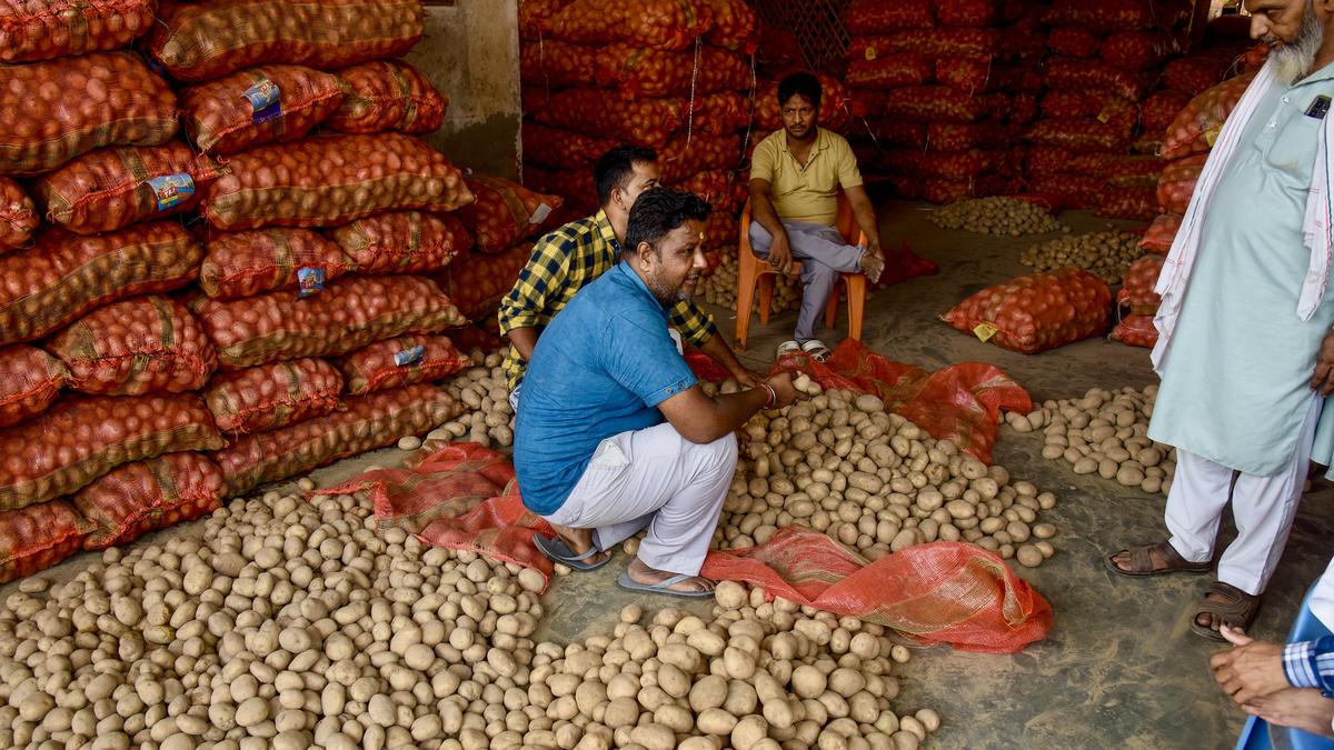 Retail inflation eases to four-month low of 5.22% in December 2024