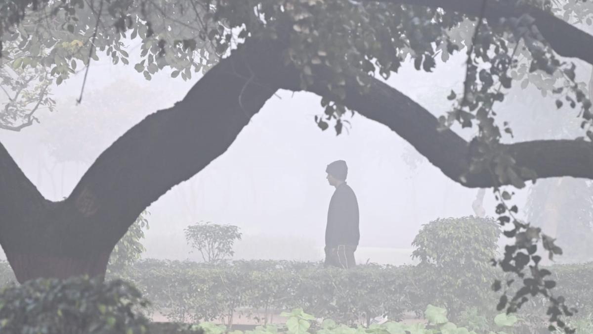Delhi’s 3-day ‘severe’ AQI streak ends, air quality improves to ‘very poor’
