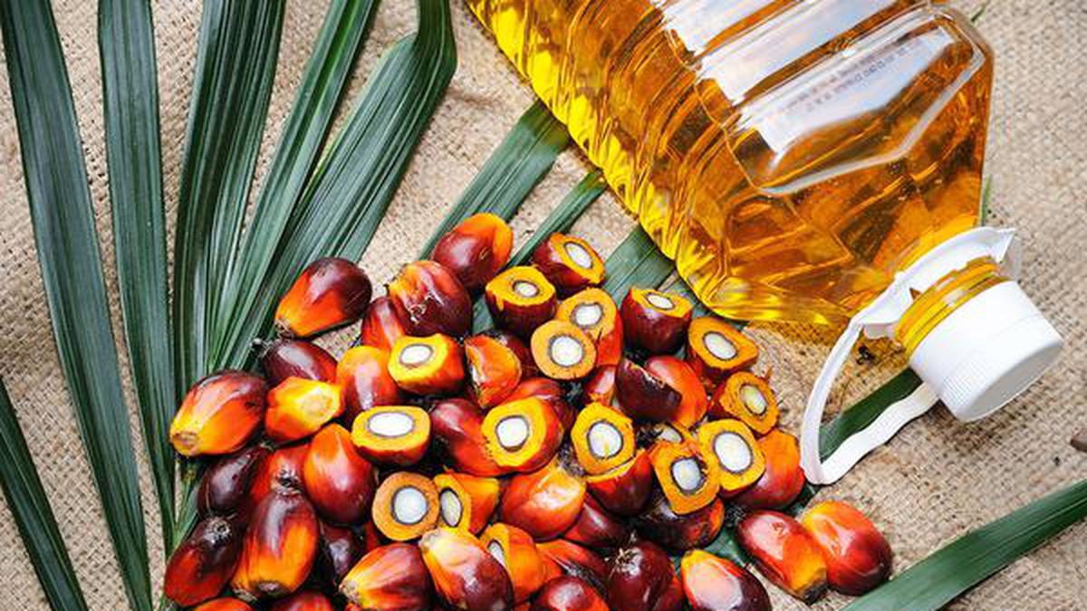 Standard duty rates on edible oils slashed