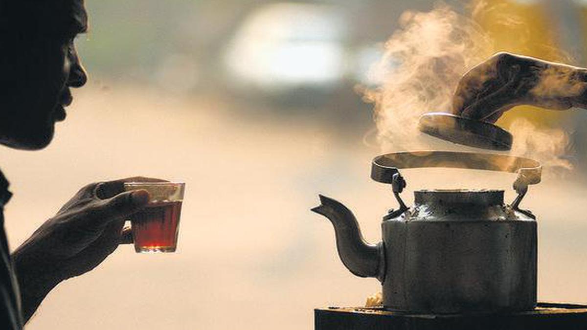 Industry aims to serve tea to schoolgoers to stir demand