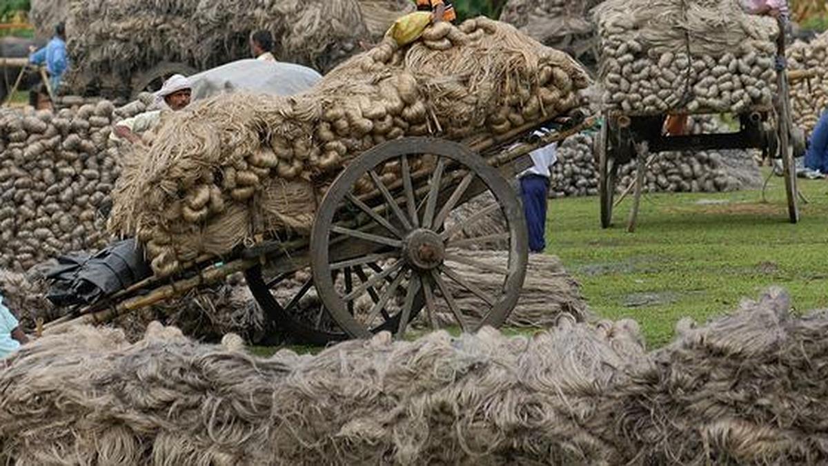 Watch India's 150yearold jute industry The Hindu
