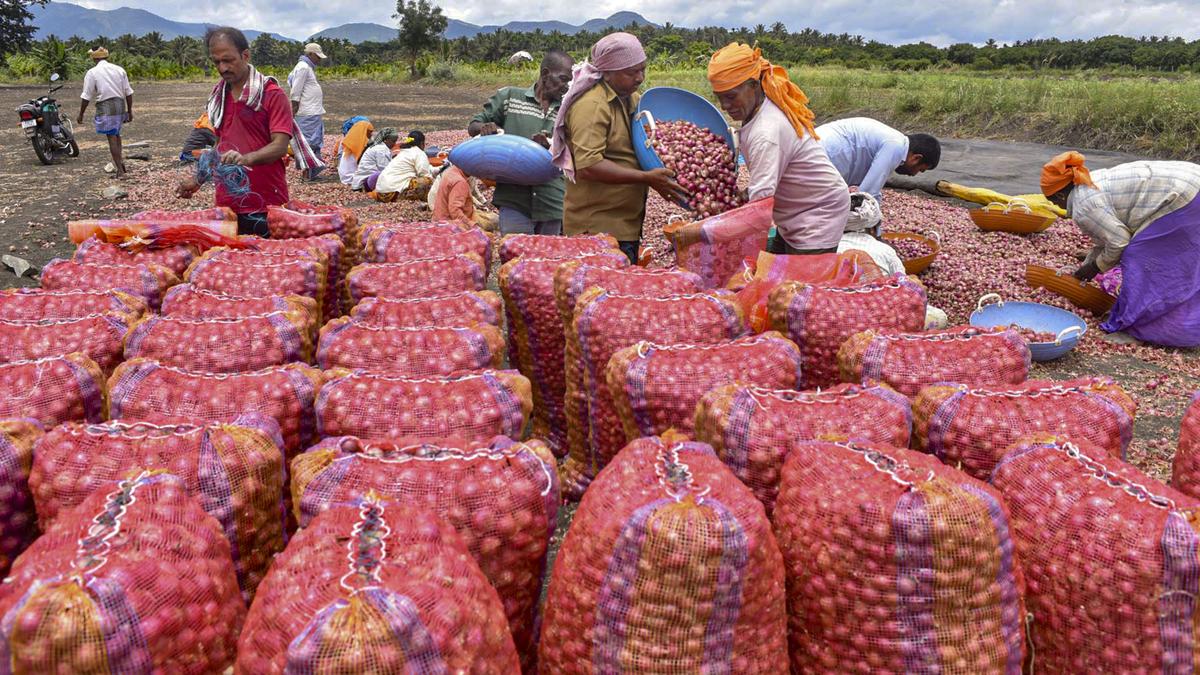 Government’s subsidised onion sale brings relief, prices drop in major cities