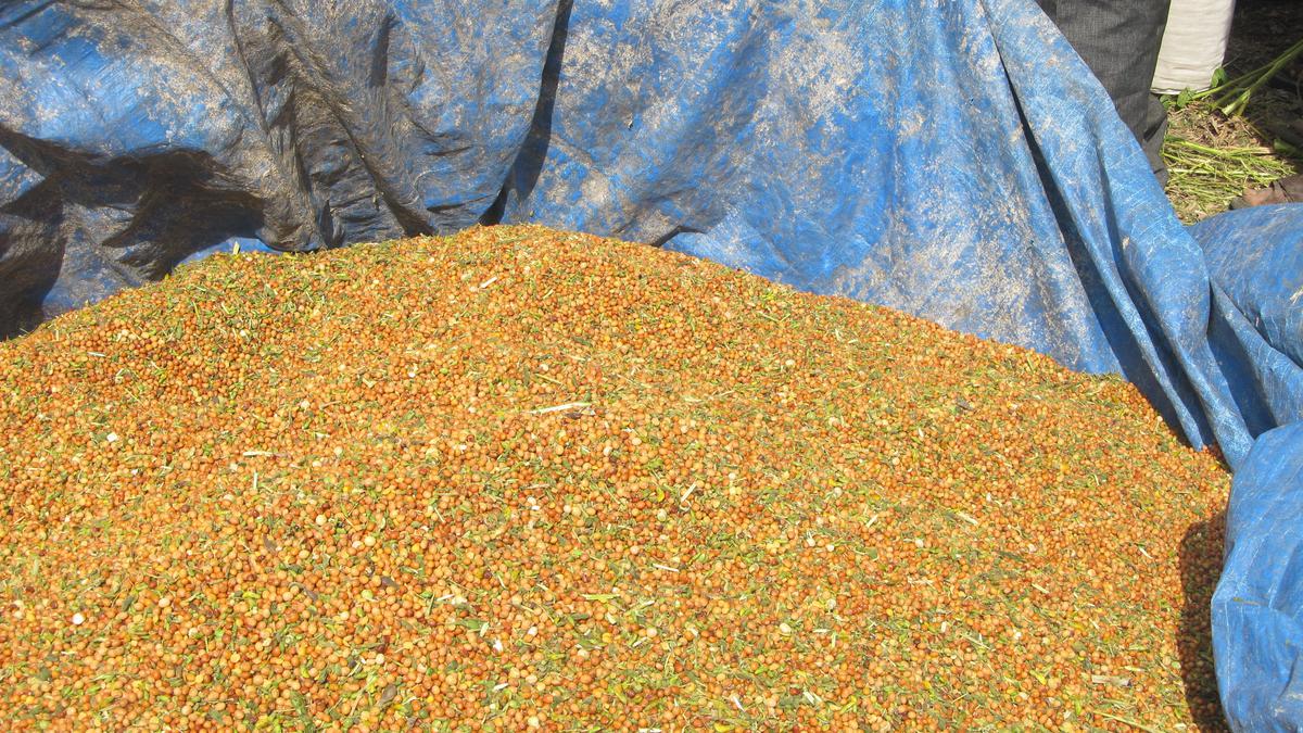 After stock limits, India to import 12 lakh tonnes of tur dal to keep prices in check