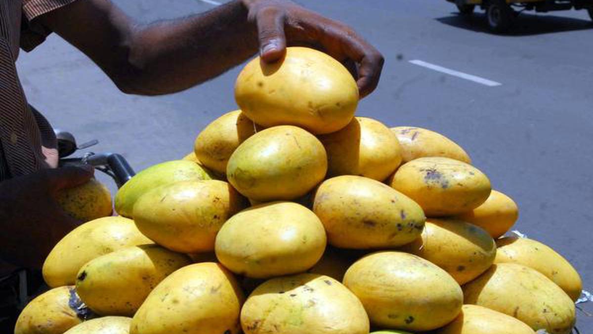 10 Indian Mangoes With GI Tags