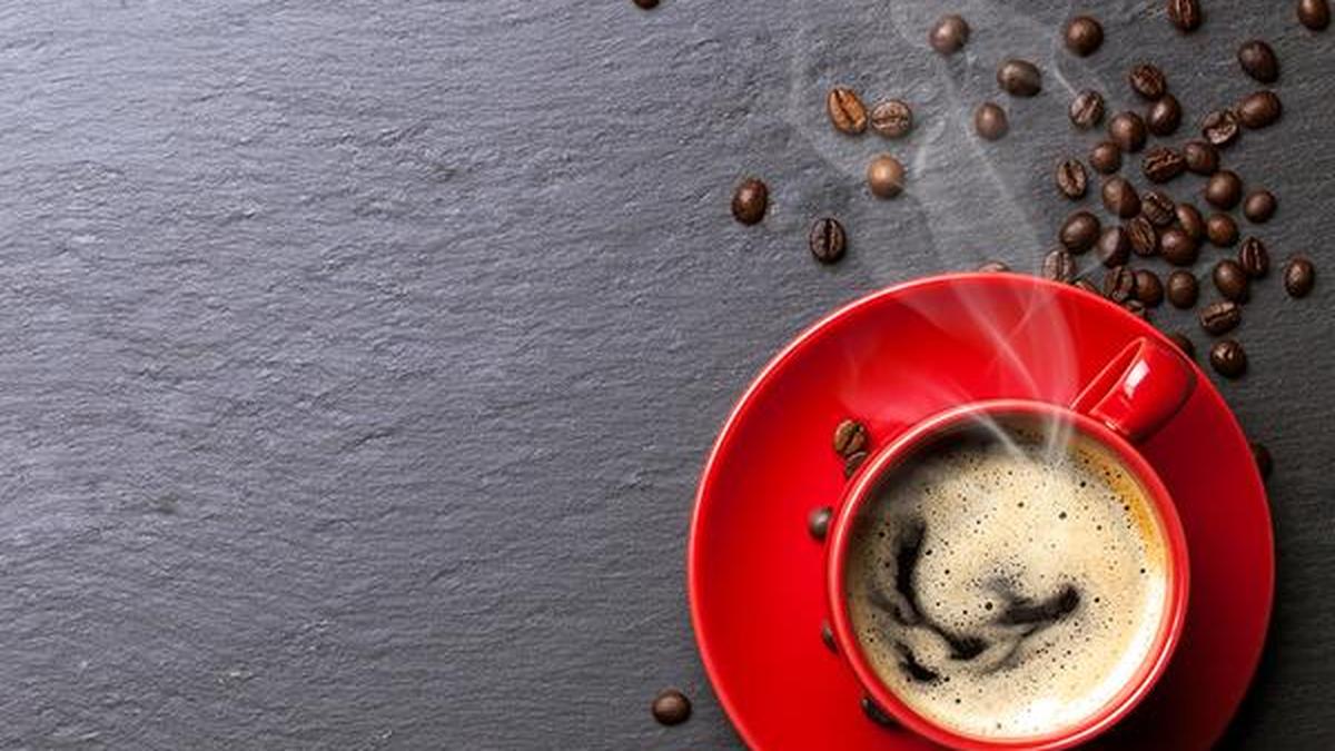 How singleorigin coffees in India disappeared The Hindu