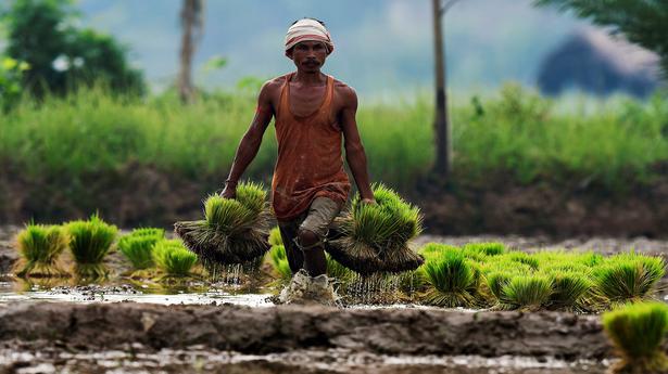 Only 50% farmers benefited from farm loan waivers, finds study