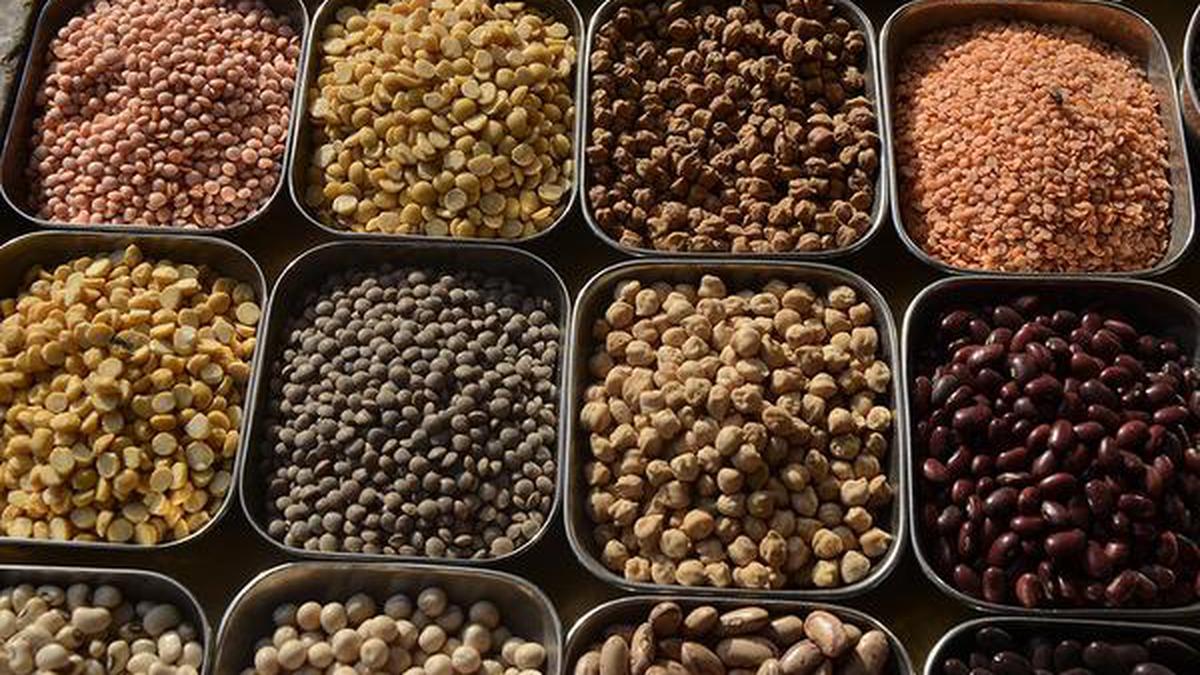 Pulses imports to fall hitting Canada, others