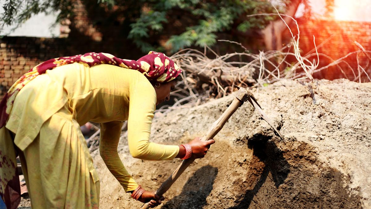 Economic Survey 2025-26: Labour codes implementation to play key rule in supporting formal employment