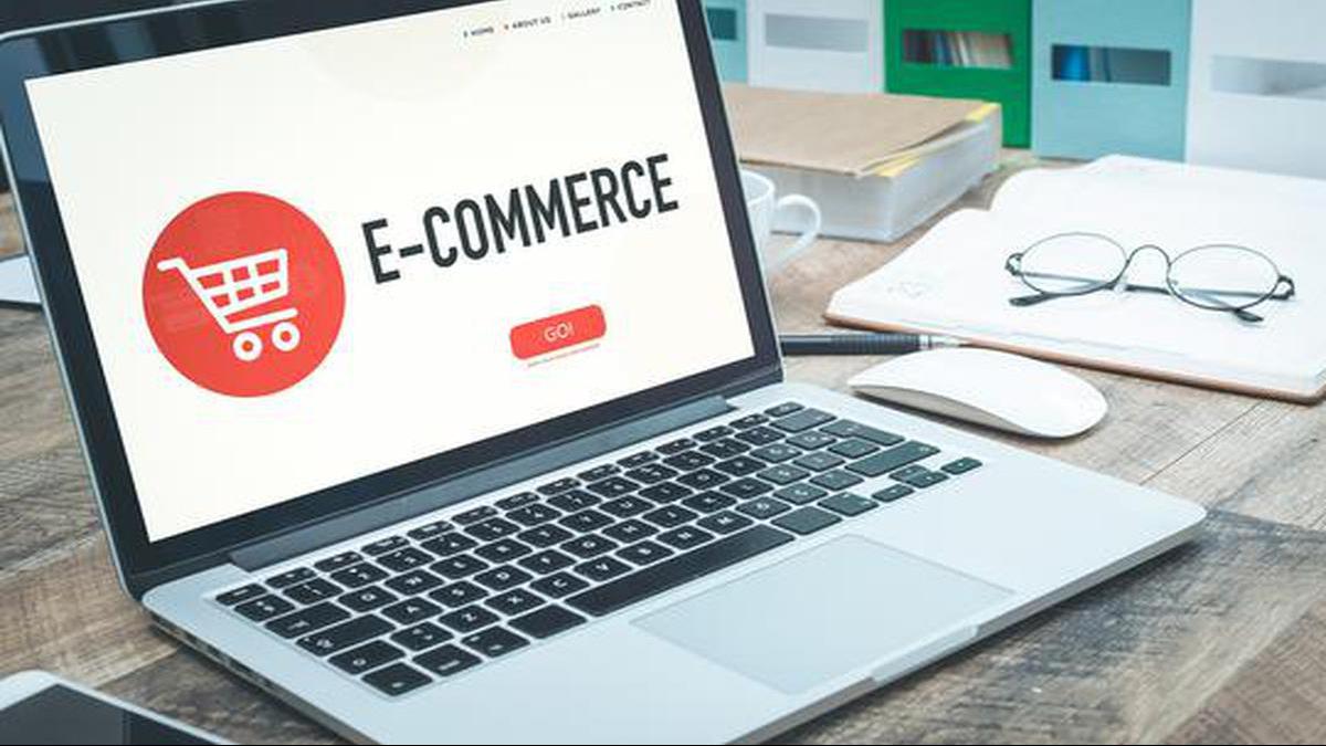 E-commerce, fintech surged in smaller cities post-COVID: Economic Survey