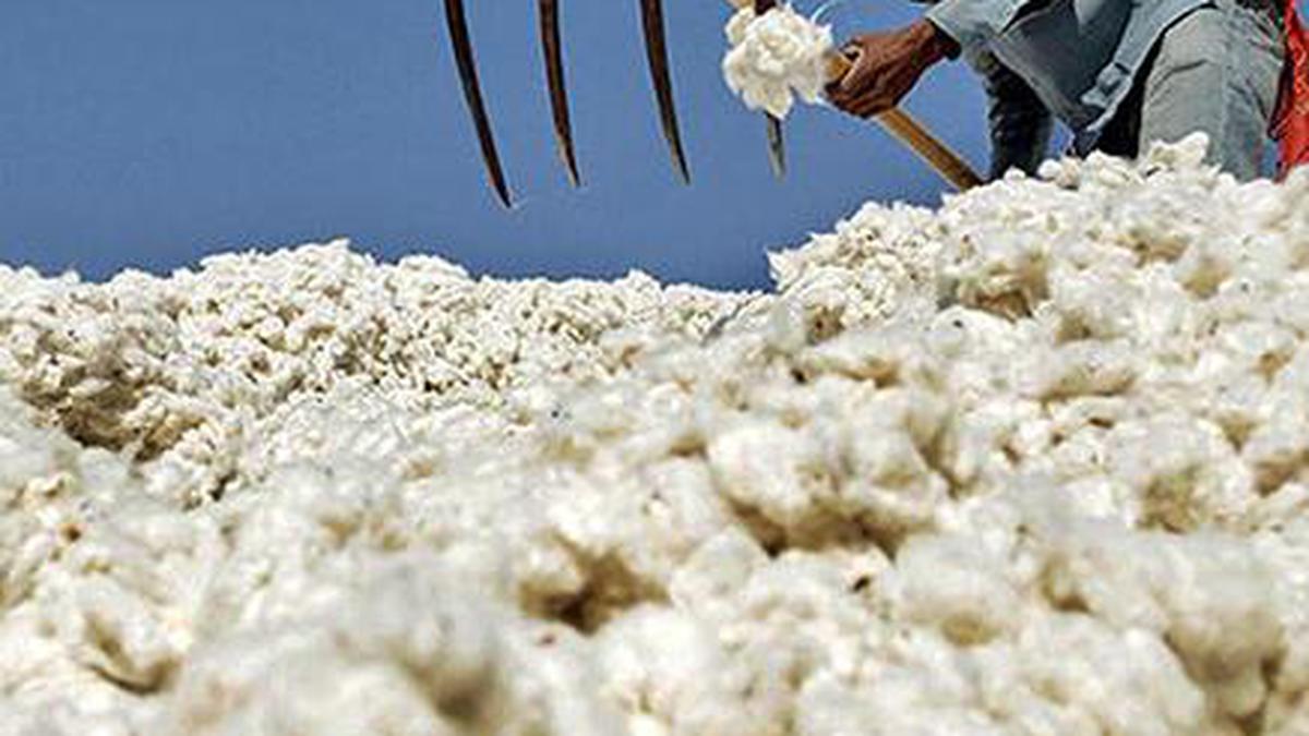 Mills association seeks rollback of duty on cotton imports