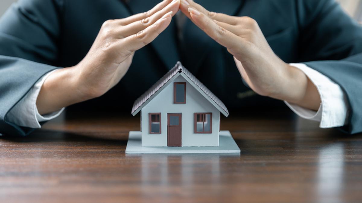 This is the season for security
Premium