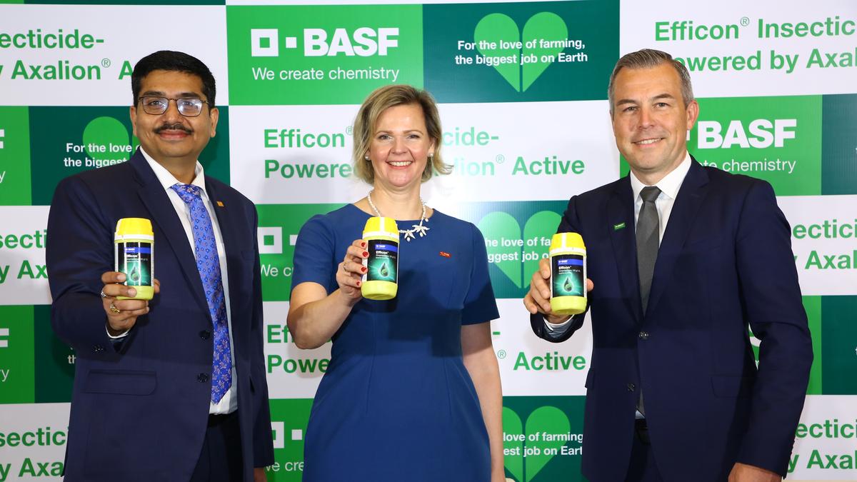 BASF introduces insecticide to manage ‘piercing pests’