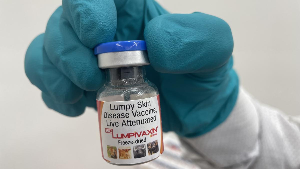 Lumpy skin disease vaccine developed by Bharat Biotech group firm with ICAR gets CDSCO licence