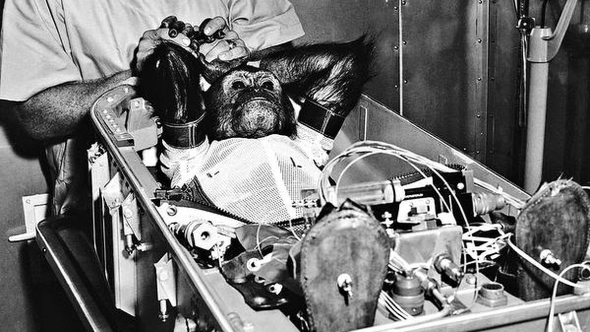 Enos, the chimp that orbited the Earth - The Hindu