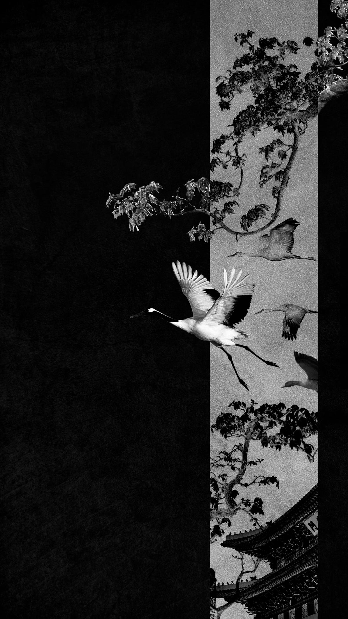 क्रेन की ताकत और चपलता. क्रेन की ताकत और चपलता.