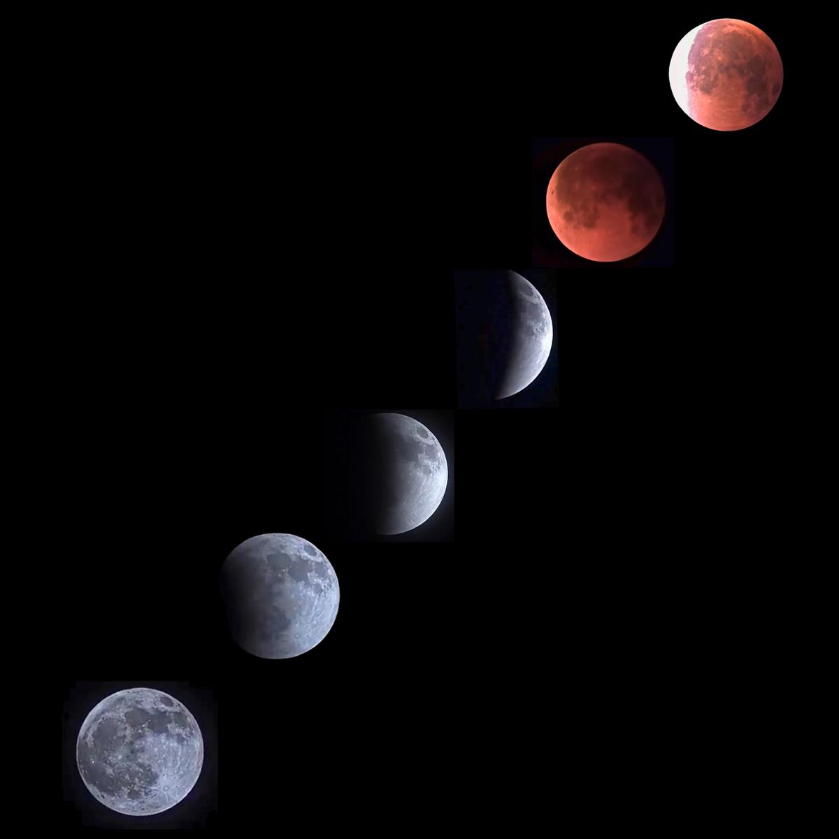 मैंगो टीम द्वारा चेन्नई के आसमान से हाल ही में लिए गए पूर्ण चंद्र ग्रहण का एक कोलाज कैप्चर किया गया।