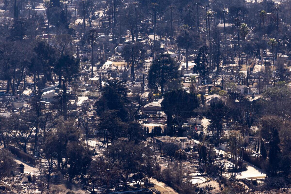 A picture taken from the Angeles National Forest shows an entire neighborhood of Altadina destroyed by the Eaton Fire, North of Altadina, California, on January 13, 2025.  (Photo by ETIENNE LAURENT / AFP)