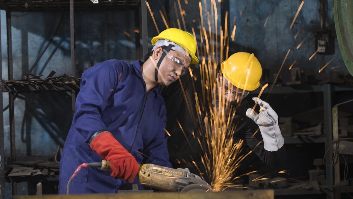 Australia’s curbs put focus on vocational education pathways abroad