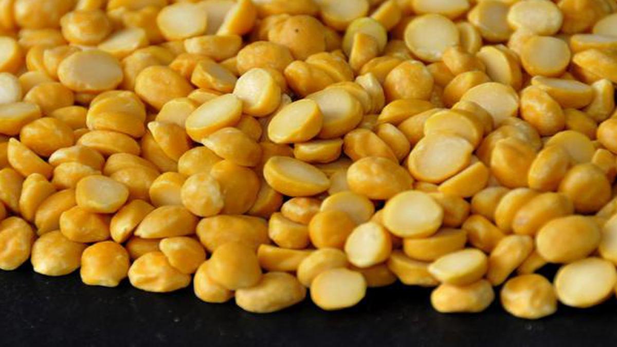 include-roasted-chana-bengal-gram-dal-in-your-diet-plan-today-24