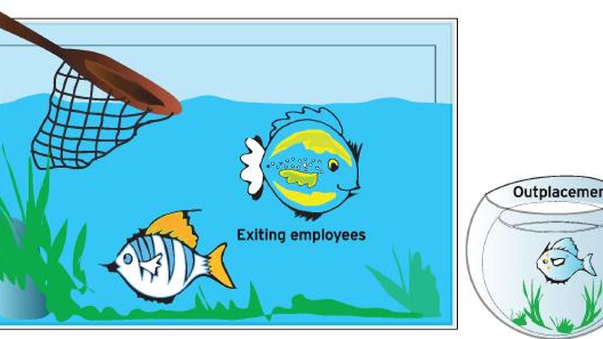 A new synonym for caring The Hindu