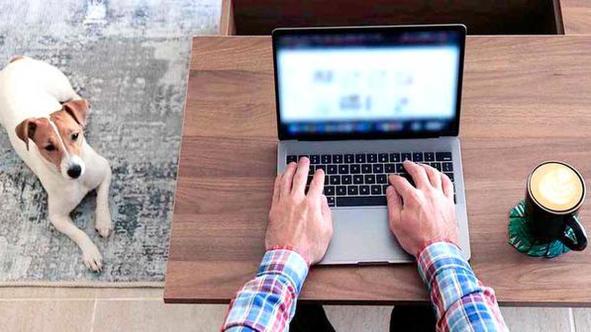 Remote working new normal; 82% employees prefer working from home: Study