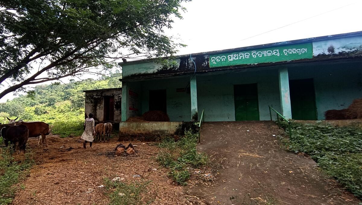 ओडिशा के रायगड़ा जिले के बिस्समकटक ब्लॉक के हिकिरीगुडा गांव में एक सरकारी प्राथमिक विद्यालय बंद कर दिया गया है। फोटो: विश्वरंजन राउत ओडिशा के रायगड़ा जिले के बिस्समकटक ब्लॉक के हिकिरीगुडा गांव में एक सरकारी प्राथमिक विद्यालय बंद कर दिया गया है। फोटो: विश्वरंजन राउत