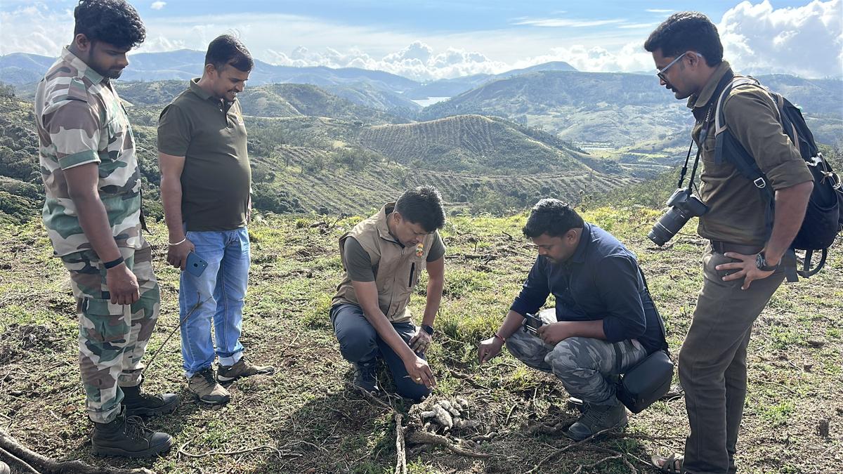 T.N. launches third synchronised Nilgiri Tahr survey across Western Ghats