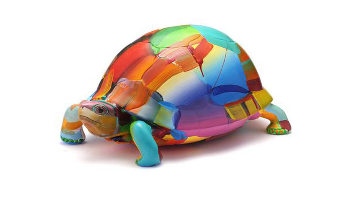 Kurma, an art showcase, is raising funds for the tortoises at Nehru Zoological Park, Hyderabad