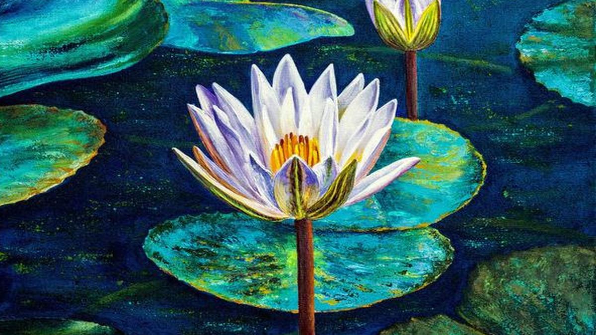 Lilium In full bloom The Hindu