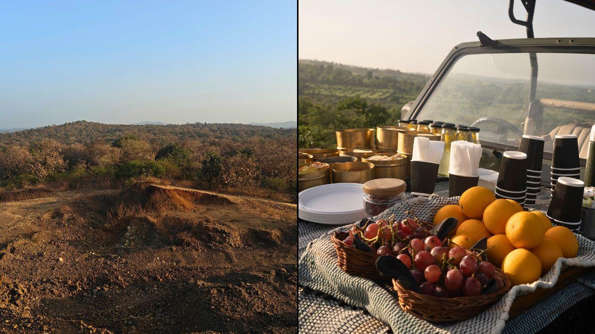 Hilltop breakfast after a morning hike