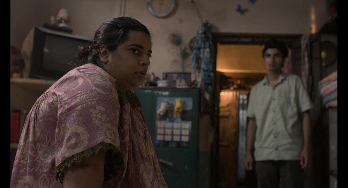 Rajan (Prayrak Mehta) with his sister Anju (Nikita Grover) in Parchaave Massiah Raatan De (Shadows of the Moonless Nights).