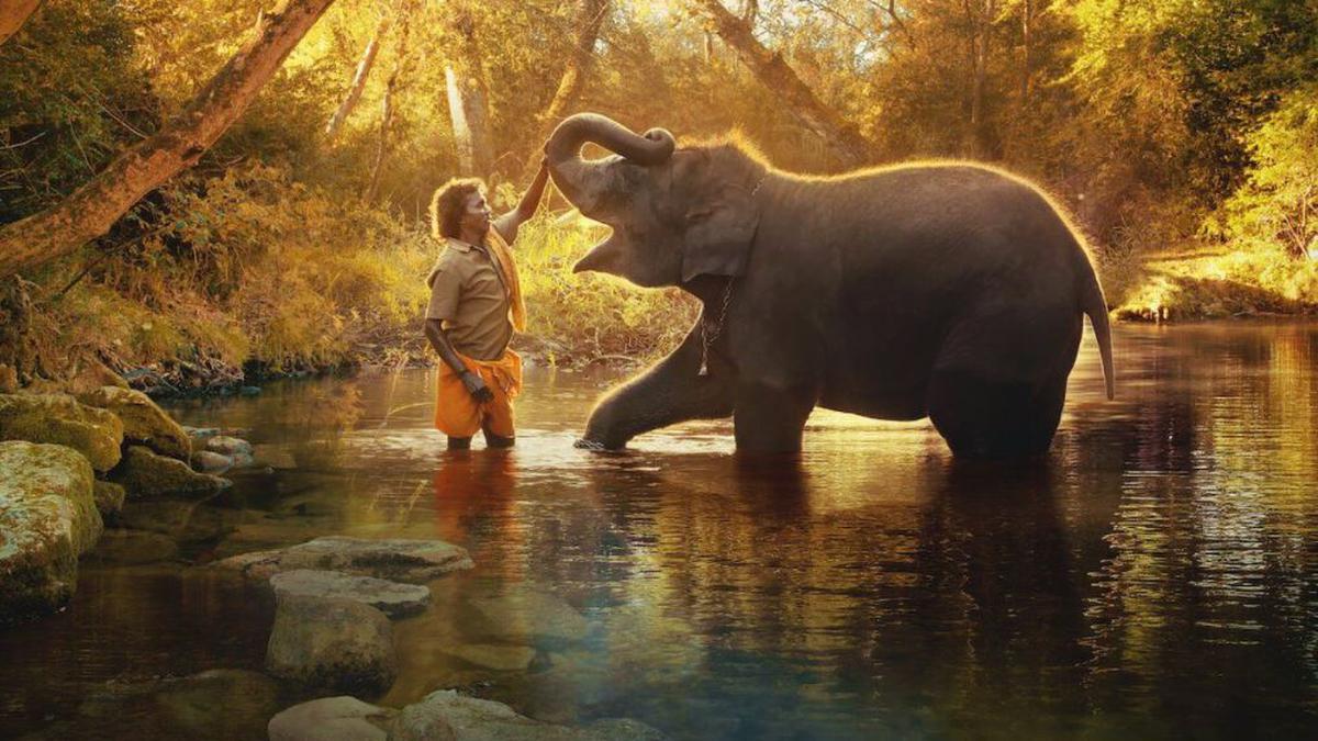 A still from ‘The Elephant Whisperers’, which won Best Documentary Short at the 95th Oscars