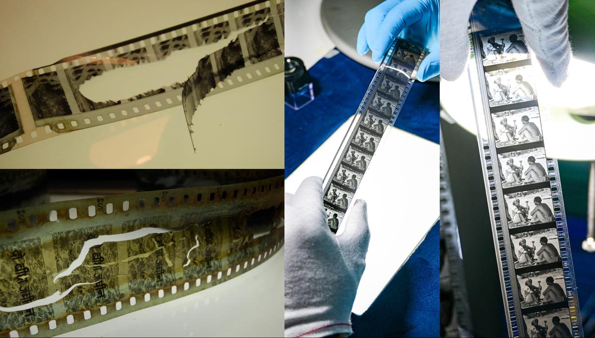 A bobina de Do Bigha Zamin sendo restaurada A bobina de Do Bigha Zamin sendo restaurada