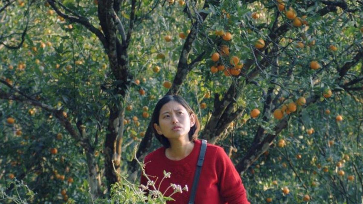 ‘Shape of Momo’ movie review: Beyond the perfect fold