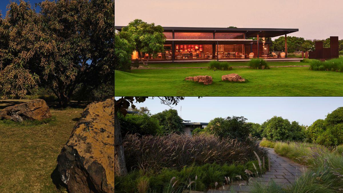 Views from the property at Woods at Sasan, Gir
