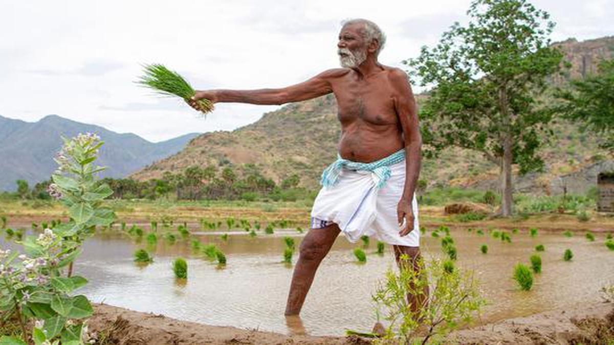 ‘Kadaisi Vivasayi’ movie review: M Manikandan’s poignant ode to the old-fashioned farmer