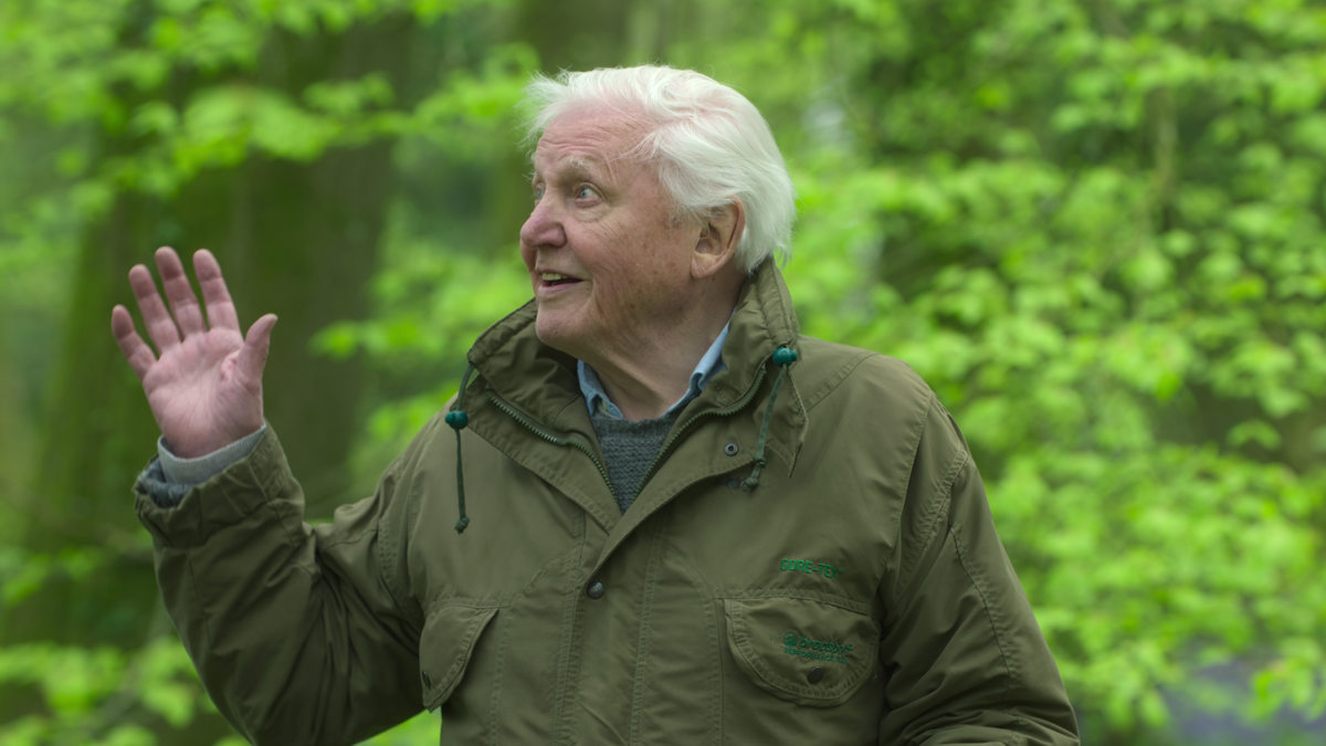 Secret World of Sound with David Attenborough.