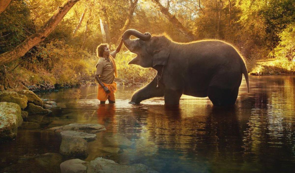 Bowman and Raghav in a still from 'The Elephant Whisperers'