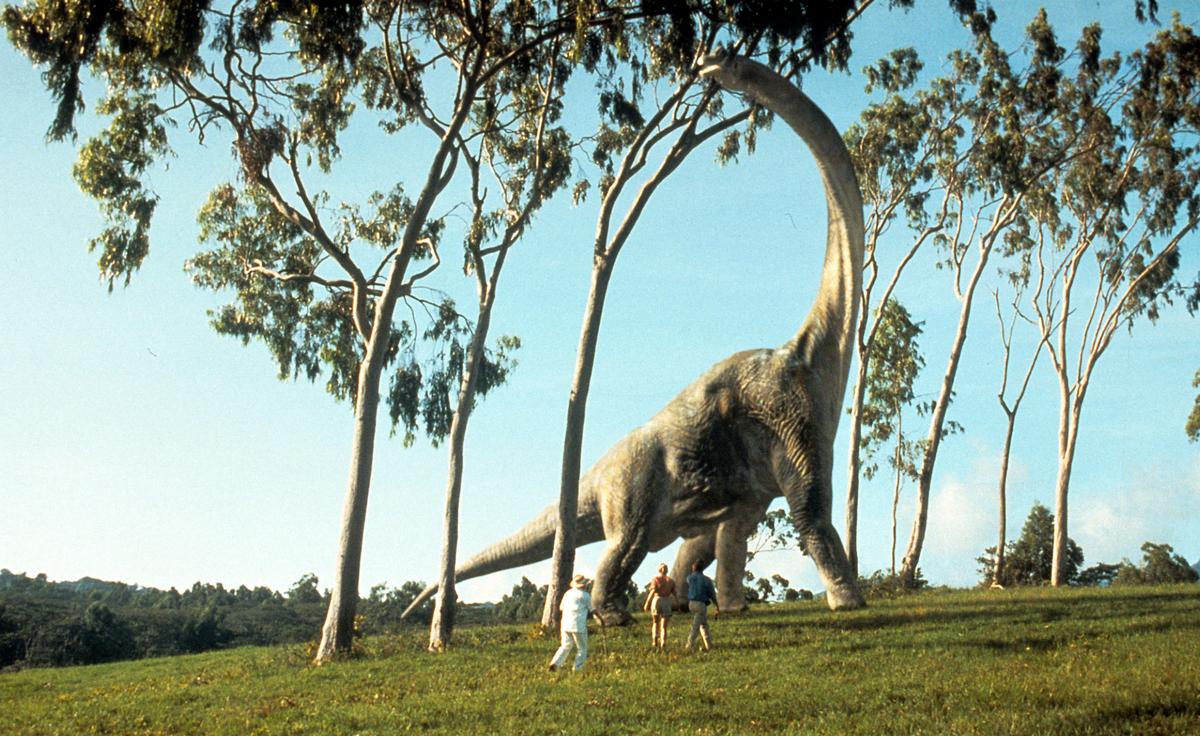 A still from ‘Jurassic Park’ A still from ‘Jurassic Park’