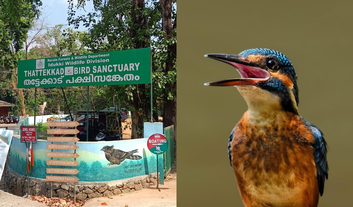 Thattekkad Bird Sanctuary