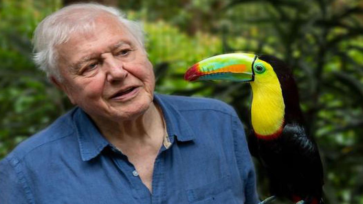 ‘Life in Color’ review: David Attenborough makes us marvel at the world yet again