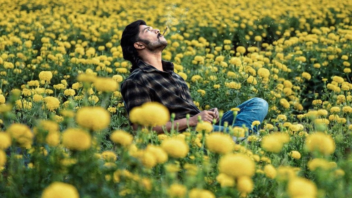 ‘Mango Pachcha’ release date: Sudeep-backed film grabs vacant slot left by ‘Toxic’